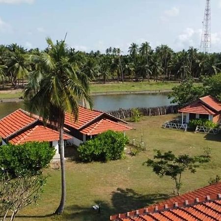 Windy Beach Cabanas Kalpitiya Ngoại thất bức ảnh